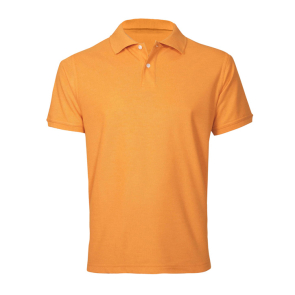 P2100_59_orange 001